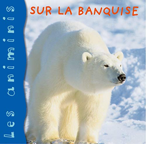 Sur la banquise (Board Book)