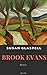 Brook Evans: Roman (German Edition)