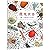 Microworld (The Little Lives Like the Mysteries) by Hélène Rajcak