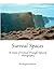 Surreal Spaces: A Vision of...