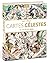 Cartes célestes : Du XVIe a...