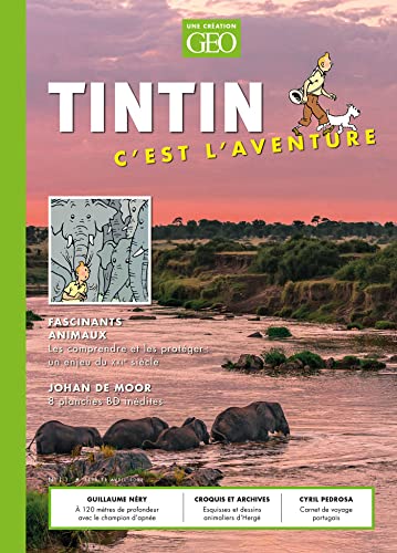 Tintin c'est l'aventure n°11 - Fascinants animaux: Fascinants animaux (Paperback)