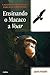 Ensinando o Macaco à Voar by Jann Weiss
