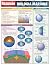 BIOLOGIA MARINHA - RESUMAO