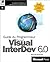 VISUAL INTERDEV 6.0. Guide ...
