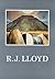 The Art of R.J. Lloyd