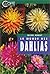 Monde Des Dahlias