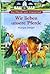 Die Pferde vom Friesenhof - Wir lieben unsere Pferde