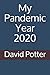 My Pandemic Year 2020