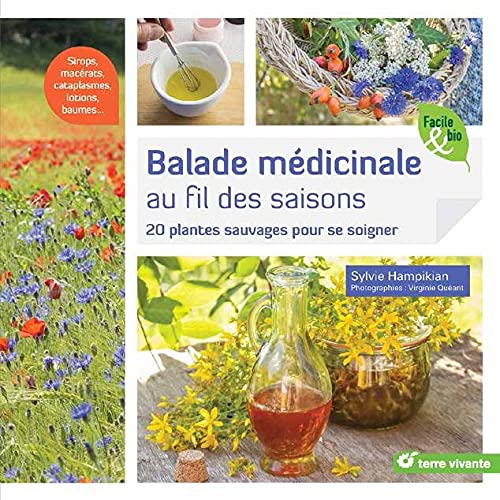 Balade médicinale au fil des saisons: 20 plantes sauvages pour se soigner (Paperback)