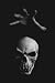 Skull Journal