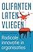 Olifanten laten vliegen (Dutch Edition)