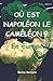 Où est Napoléon le caméléon ?: En Europe (French Edition)