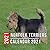 Norfolk Terriers Calendar 2...