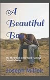 A Beautiful Boy: The Third Book in the Red & Hammer Detective Series