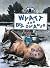 Wyatt and Boy Dreamer by Paul Ecke