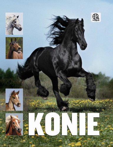 Konie (Hardcover)