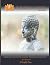 Certification Program Training Manual by Devi Ward Erickson