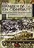 Panzer IV (Lang) en combate...