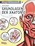 Grundlagen der Anatomie: Geheimtipps der Profis
