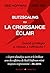 Blitzcaling ou la croissance éclair: Quand privilégier la vitesse à l'efficacité ? (French Edition)