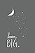 The Dream Big Journal