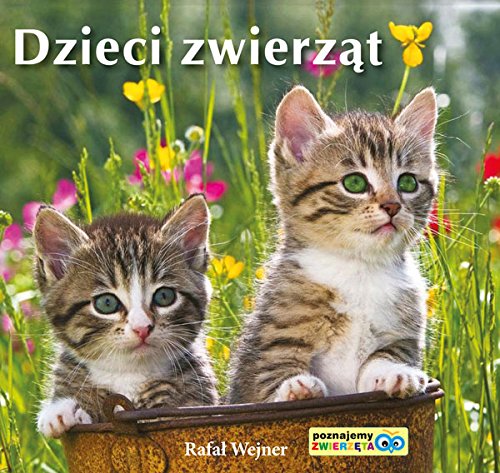 Dzieci zwierzat Poznajemy zwierzeta (Paperback)