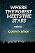 Where the Forest Meets the Stars by Elmehdi Bouyi