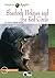 Sherlock Holmes and The Red Circle. Buch + CD-ROM: Englische Lektüre für das 2. und 3. Lernjahr