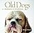 Old Dogs on Meditation and Mindfulness by Suzanne McCourt
