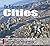 Redemptive Gifts of Cities