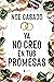 Ya no creo en tus promesas