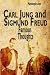 911 Inspirational quotes from Carl Jung and Sigmund Freud by Humble Pics