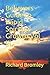 Believers Guide to Rapid Spiritual Growth Vol III