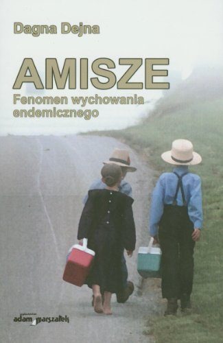 Amisze (Paperback)