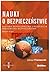 Nauki o bezpieczeństwie. Kultura bezpieczeństwa i redefinicja środowiska bezpieczeństwa