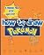 Pokemon  by James Freud