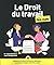 Le Droit du travail Pour les Nuls, 5e