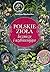 Polskie zioła lecznicze i uzdrawiające
