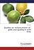 Studies on enhancement of y...