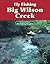 Fly Fishing Big Wilson Cree...