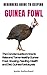 BEGINNERS GUIDE TO KEEPING GUINEA FOWL by Justin Sutherland