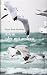 Allein oder mit andern by Theres Roth-Hunkeler