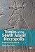 Tombs of the South Asasif Necropolis: Art and Archaeology 2015–2018