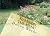 Herbs on the Menu by Donna Weeks