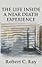 The Life Inside a Near Death Experience by Robert C. Ray