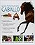 Guía Práctica del Caballo