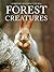 Forest Creatures