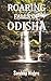 Roaring Falls of Odisha (Sa...