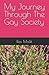 My Journey Through The Gay ...